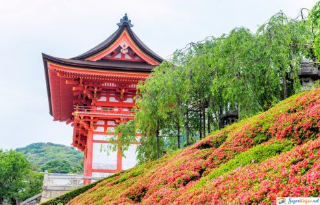 el templo kiyumizu