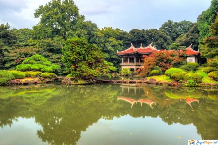 parque shinjuku gyoen en japon